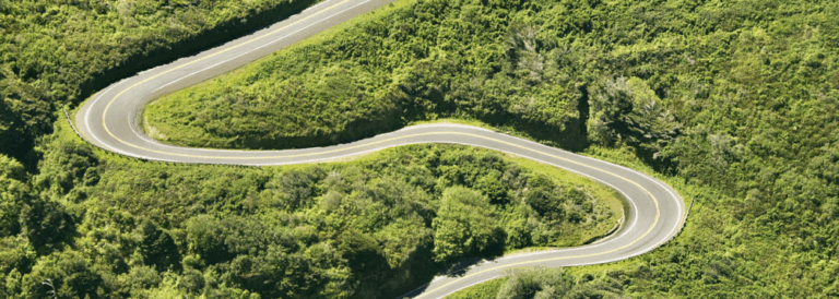 forest road